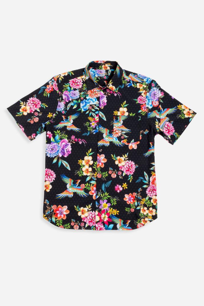 Johnny Was Swim & Resort | Women SOGNATORE MENS COVERUP SHIRT Sognatore